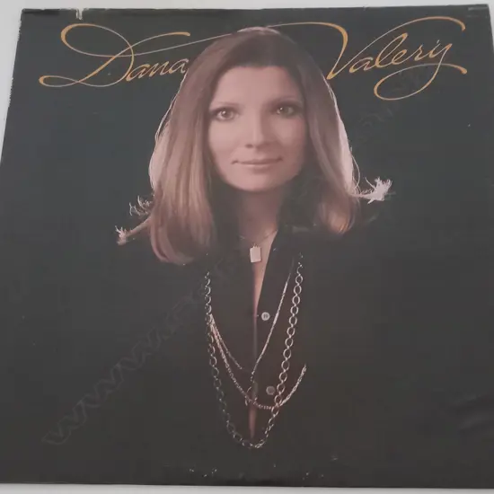 Dana Valery, Dana Valery